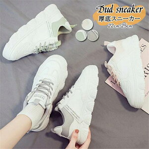 Xj[J[ fB[X  Ȃ y _bhV[Y EH[LOV[Y ₷ JWA [Jbg [XAbv r ^C 