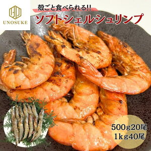 \tgVFVv 500g20 1kg40 CV Gr  kt BBQ o[xL[ oiCGr Ɩp p Mtg p  O Ⓚ CN ̓  Ε j s J