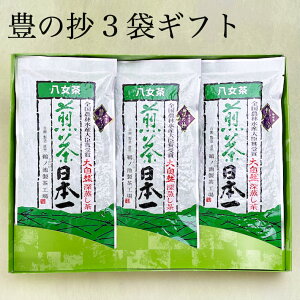 2025  Mtg V  3܃Zbg v[g Β t { [ lC @ Ԃ o   j 蕨 Ԓ lߍ킹 yY ʔ a@䕧O 