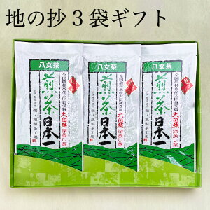 2025  Mtg  3܃Zbg v[g Β t { [ lC @ Ԃ o   j 蕨 Ԓ lߍ킹 yY ʔ a@䕧O  