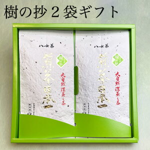 2025  Mtg V  2܃Zbg v[g Β t { [ lC @ Ԃ o   j 蕨 Ԓ lߍ킹 yY ʔ a@䕧O 