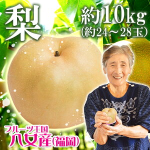  Ȃ iV 10kg K L ߎZT[I ꕔn摗 Yn ̗ ʕ t[c BY