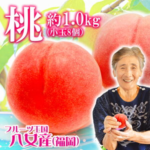   1kg 8 s\ ߎZT[I ꕔn摗 Yn ̓ ʕ t[c BY y2024N6{菇\z