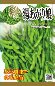 【湯あがり娘枝豆】種　えだまめ　種子　野菜　春まき　タネ　カネコ種苗（株）茶豆風味　食味絶品　ビールのお供にこの一品　エダマメ　家庭菜園　宇都宮農園　たね