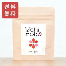 ペットフード 漢方 うちのこペット 漢方【1袋あたり 粉末30g】ペット 漢方（血） 生後3か月以上 獣医師 薬剤師 監修 ペット用漢方薬 毛並み 皮膚の乾燥 ドライアイ 【送料無料】ペット漢方 ペットサプリ【仙台の漢方専門薬局 運龍堂】【まとめ買い】