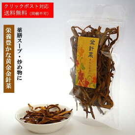 金針菜（きんしんさい）乾燥 【1袋あたり 50g】健康食品 健康 美容 薬膳料理 健康 元気 食材 お鍋 鉄分豊富 忘憂草 薬膳茶 【送料無料 クリックポスト対応】【敬老の日】 【仙台の漢方専門薬局 運龍堂】【まとめ買い】