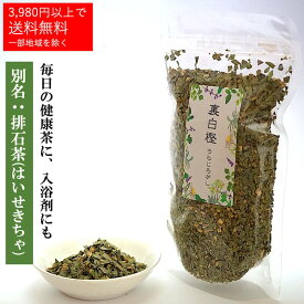 裏白樫茶 ウラジロガシ 乾燥 お茶 【1袋あたり 80g】日本製 国産 薬膳 茶 健康食品 薬膳料理 薬膳茶【仙台の漢方専門薬局 運龍堂】煮出し ギフト 健康 美容【まとめ買い】