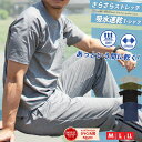 ドライストレッチ Tシャツ 春夏 ジャージ 伸縮 ストレッチ カジュアル メンズ 【2万円以上お買い上げで Ron Herman ロンハーマン ミニタオル プレゼント！】カットソー 上下 おしゃれ
