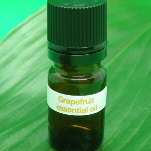 AeBÃO[vt[ciɎgpĂAS𖾂邭Ău₩Ȋkn̍́uO[vt[c GbZVICv 5ml