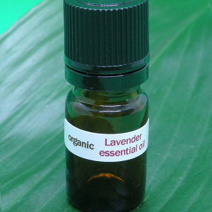 AeBÃx_[iɎgpĂ閳_AL@͔|́uI[KjbNx_[GbZVICv5mlAtX̔_ƂO߂ĈĂ쐫ӂ鐴Xu