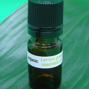 AeBÃOXiɎgpĂASCɂĂ鐴X̂悤ȍƁAɒ^ɐĂA_AL@͔|́uI[KjbN