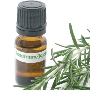 TCYuzzo[Y}[ICv10ml 100I[KjbNIƋCɂȂ鏬̋~IیێII[KjbNzzoICS[f{GCWOPA