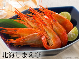 ZȊÖƃvbƂgkCY kCV}Gr 300gO