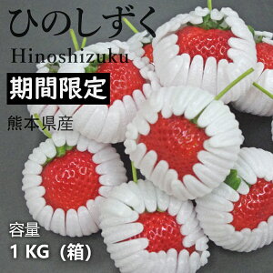 \tE1蔭\bF{Y Ђ̂   iN 1kg/1 SݓXɒ It[c F{Yuh uЂ̂vN̑I琬d