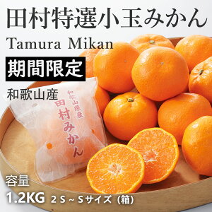 \tE12{蔭\ b a̎RY ݂ uhc݂ ip 1.2kg 1 SS~S TCY  c݂ ʔ ̓IWɂĔ̔ SݓXAC