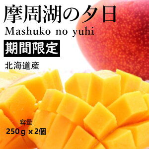 ~Mtg Ε ́b kCY n}S[ ΂̗[ uh }S[ iN ( 0.5kg 2) SݓXɒ It[c ~ɏo kC}S[ ΂̗[ n