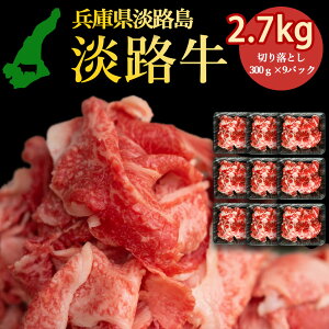 nWH WH̎|݋Ïk 2700g ؂藎Ƃ 300g×9pbN ؂藎ƂՂ 2.7kg WȞIꂽ{Y_Ƃ̋ ؂藎Ƃ WH H ₫ ɂ 킶 o[