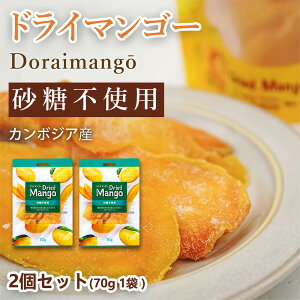  hC}S[ sgp | 2܃Zbg (v140g 2) i70g^1܂j܂ Zbg Dried Mango r[ nC{[̂Ƃ َq  XibN l̂ t[c ʕ
