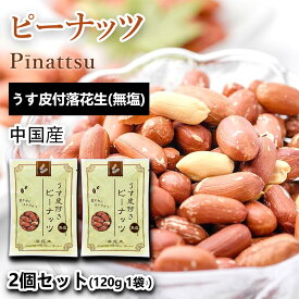 おつまみ ピーナッツ うす皮付きピーナッツ | 2袋セット (合計240g 袋2個) （120g／1袋あたり） おつまみ セット 愛されてロングセラー ビール ハイボールのおとも 落花生 うす皮付きピーナッツ お菓子 おかし スナック 大人のおやつ