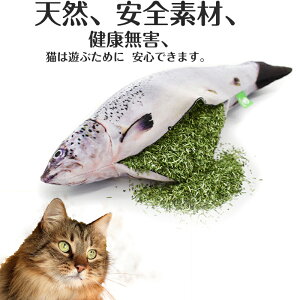 L ܂  y100%VR~gz  L̂ ނ Lpi 얞 ܖ XgX LgC  ˂  _炩  Lbgpi