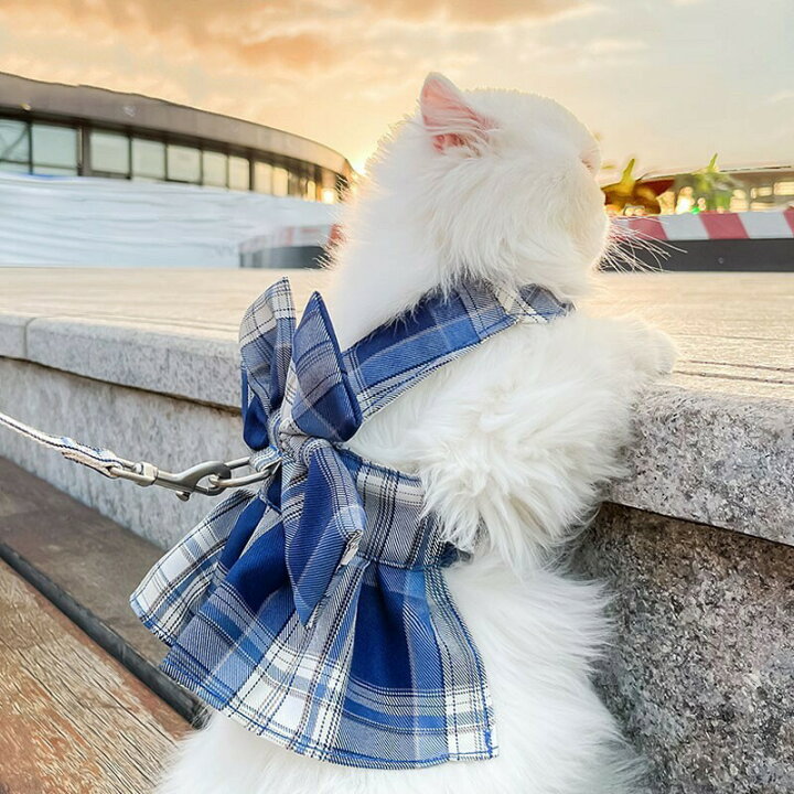 楽天市場】在庫処分特価・ 犬の服 ペット服 犬服 猫服 可愛い かわいい 