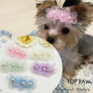 ݌ɏE i_E3_jLp@p{ wAoh ybgp Jt  wAS wAANZT[  A\[g@p{wAs _bN wAs wA