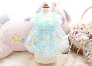  @ s[X@m[X[u Aj} EGA hX@SX l [X { t p[eB[ vZX ybg ˂  Cxg@Be @L