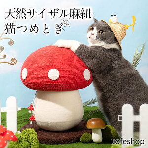 yALbgh5{v[g܂z L ܂Ƃ L܌ L^[ Lpi LObY  R ܂Ƃ|[  CeA܂Ƃ Rf XgX LV LV 