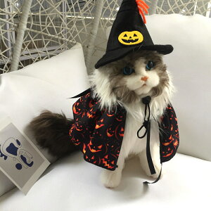 ݌ɏEnEB Lp ybg pvL RXv  nEB[ }g  o_iK[h RX`[ ʐ^Be ybg t  L K[h  