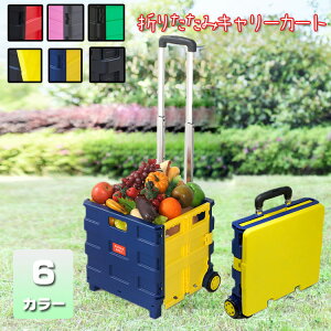 [] AEghA ܂肽݃L[J[g VbsOJ[g ӂ L[J[g Rei J[g GRobO L[  AEghA W[ X|[c ^ e45kg LX