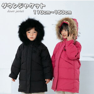 ygIIH~Vz  _ER[g q ̎q j̎q _EWPbg N[t@[t O ʊw LbY h H~ WjA AE^[ ~ ʉ AEghA LbY