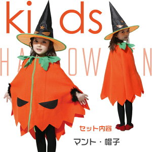 nEB RXv  q J{`@g RX`[ ߑ 킢 ̎q w  w p[eB[