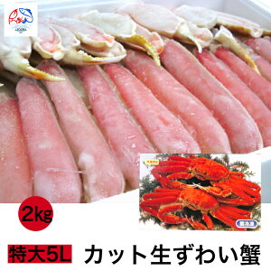 y5Lz Jbg킢I y2kgz Ⓚ n[tJbg Jj  킢 Jbgς |[V I   ϔ