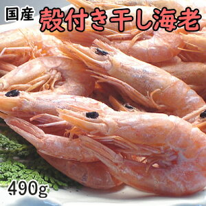 ˓YktCV490g ˓Y ܂  Ђ kt ق  Gr CV   j j Mtg o e{  JJ