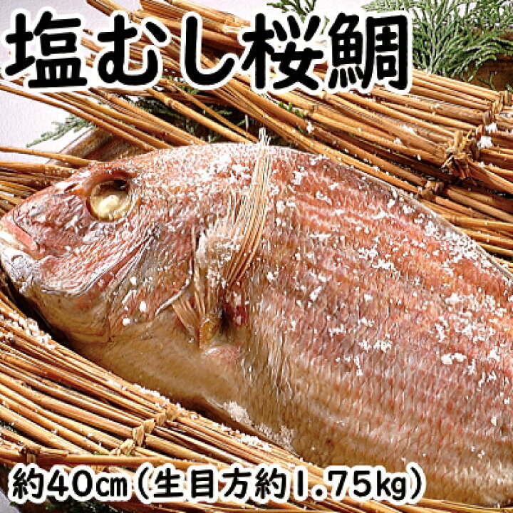 楽天市場 塩むし桜鯛 生目方1 75キロ 敬老の日 鯛 真鯛 桜鯛 おくいぞめ お食い初め おたべはじめ ギフト 贈物 お歳暮 たい タイ 無添加 国産 天然 鯛めし マダイ 天然 丸ごと１匹 天然鯛 瀬戸内旬の味紀行 倉敷 魚伊
