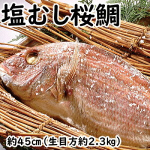 天然 マダイの人気商品 通販 価格比較 価格 Com 天然 マダイの人気商品 通販 価格比較 価格 Com