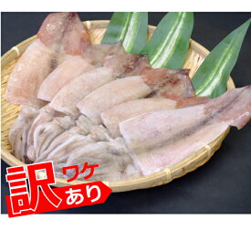 【訳あり】するめいか一夜干しセット（120〜180g）×6枚送料込