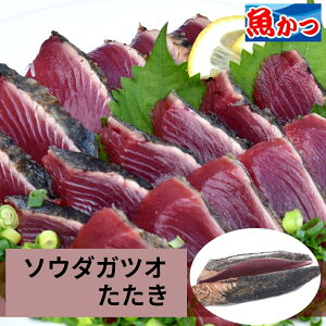 y݌Ɍz\E_KcI 150gi2lOj Ⓚ  t hg˂ Jpb`