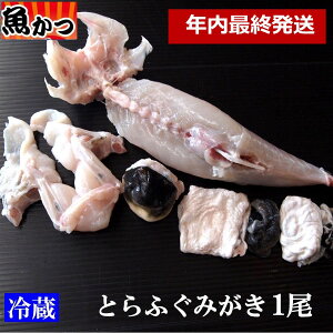 NŏI ݂ ӂ N Nnp 1.1L TCY  ӂ① Ƃӂ g hghgpTCY1 ӂ ӂh͓ ӂЂ ӂtN Nn  