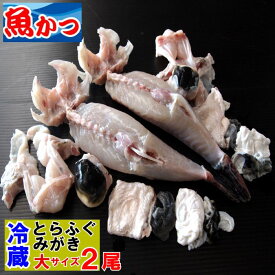 みがき ふぐ 冷蔵 フグ お刺身用 大サイズふぐ みがき 2尾セット 河豚 トラフグ 身欠き てっさ てっちり ふぐ刺し ふぐ鍋 河豚 ふぐなべ ふぐひれ ふぐ皮付 ふぐ とらふぐ ふぐ刺身 ふぐ あら ふぐ ひれ 酒 ふぐ 身欠き 送料無料