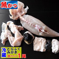 みがき ふぐ 河豚 とらふぐ 身欠き 冷蔵ふぐ 刺身用 大サイズ1尾とらふぐ 1匹 ふぐ みがきふぐセット 刺…