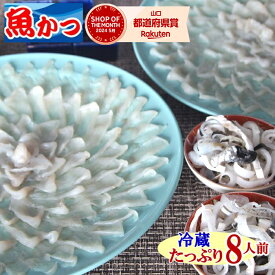 ふぐ刺し 冷蔵 4人前 2皿セット とらふぐ てっさ 国産 ふぐ刺身 約170g×2 ふぐ皮 約100g×2 大皿30cm お取り寄せ ギフト