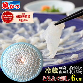 ふぐ刺し 冷蔵 6人前 とらふぐ ギフト 大皿39cm 国産 ふぐ刺身 約260g ふぐ皮 約150g てっさ ふぐ 山口 お取り寄せ お中元 夏ギフト