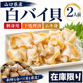 山口 白バイ貝 冷凍エッチュウバイ 刺身 ムキ身バイ貝 山口産 珍味 お取り寄せ しろばいシロバイ貝 お刺身セット ギフト