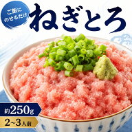 ネギトロ 冷凍 約250g 2～3人前 まぐろたたき ネギトロ丼 海鮮丼 手巻き寿司 ご飯にのせるだけ【同梱おす…