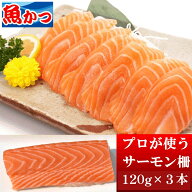 サーモン 刺身 冷凍 3柵 120g×3本 サーモン 刺身 約120g×3 ノルウェー産 サーモン 魚 刺身用 短冊 さし…