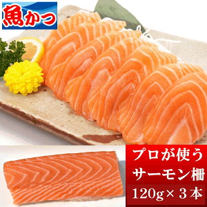 T[ hg Ⓚ 3 120g×3{ T[ hg 120g×3 mEF[Y T[  hgp Z   AgeBbNT[     CN ŐVt̗ⓀyzⓀ  