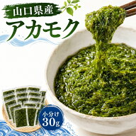 アカモク 冷凍 国産 山口県産 あかもく ぎばさ 30g×18個 540g 小分け 個包装 湯通し 刻み済み 海藻 送料…