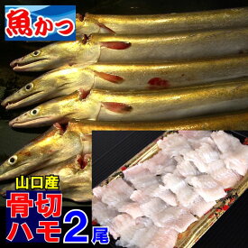 楽天市場 ハモ 総重量 水産物 500 999g その他水産物 魚介類 水産加工品 食品の通販