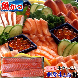 鮭 刺身の通販 価格比較 価格 Com
